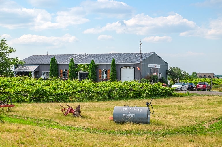 grey barn with green vineyard and barrel on lawn in front