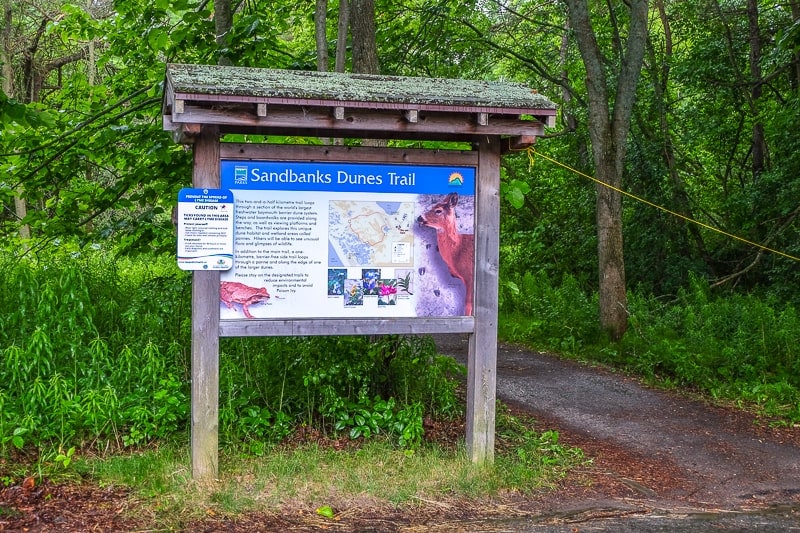 blue wooden sign leading to hiking trail with forest behind