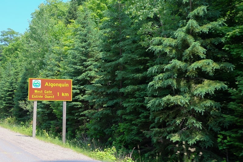 orange road sign on ride of highway with trees behind in algonquin park