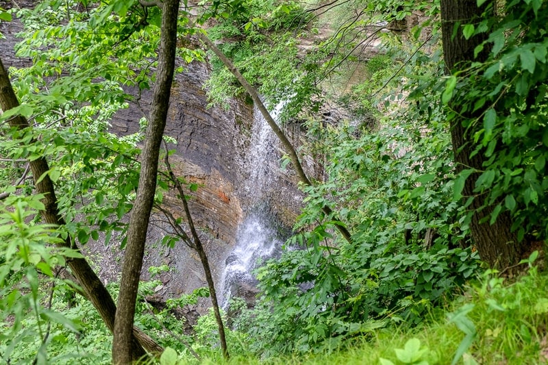 small waterfall tricking down rocks through green trees in hamilton