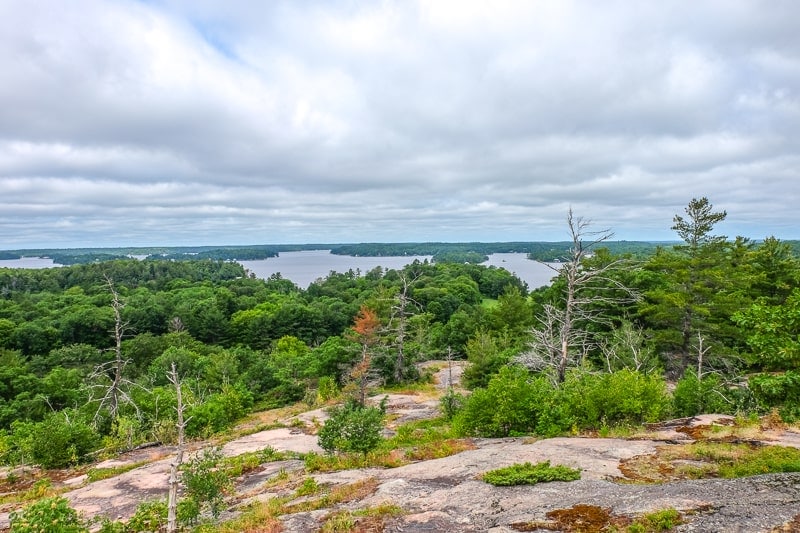 blue lake with green trees in distance on muskoka lookout trail