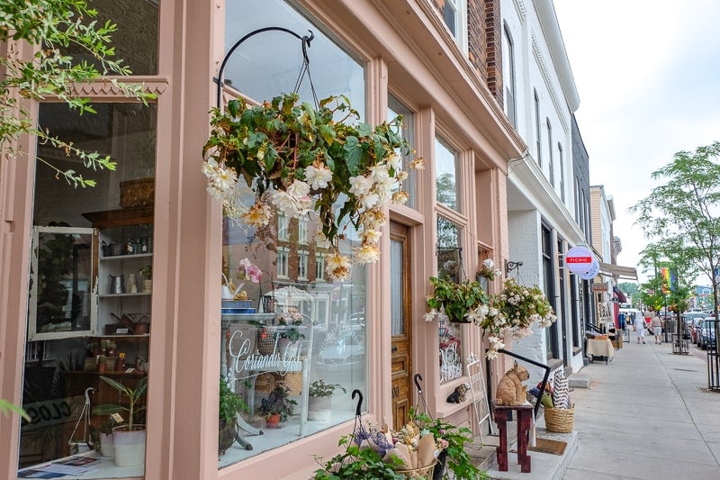 pretty shop fronts with sidewalk and shoppers in picton ontario