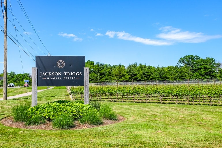 black sign for winery with vineyards rows in the background in niagara on the lake