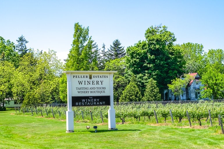 white sign for winery by roadway with vineyard of peller estates behind