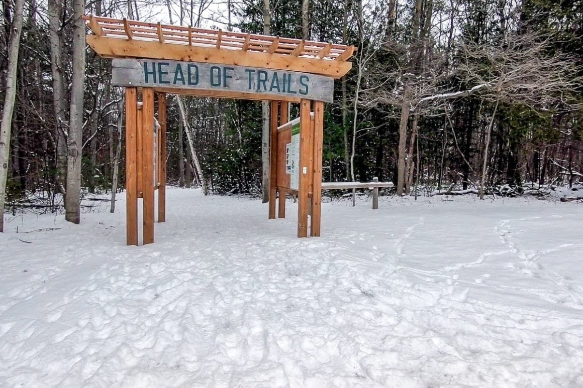 wooden trail sign with snowy ground below and forest behind