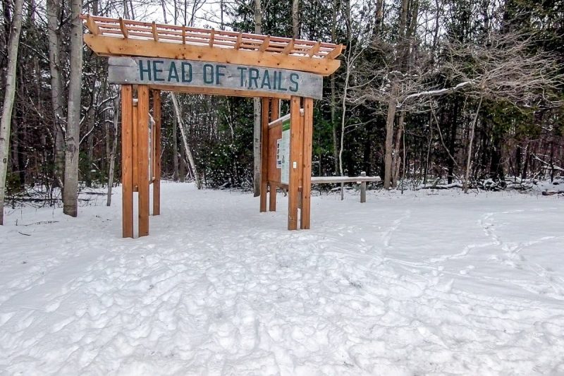 tall wooden sign at entrance to snowy trail system with forest behind