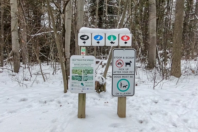 wooden trail signs with directional area with forest and snow behind