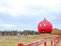 large red apple statue outside wooden building and small orchard in colborne ontario