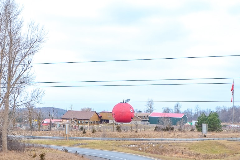 large red apple statue with buildings around it from distance