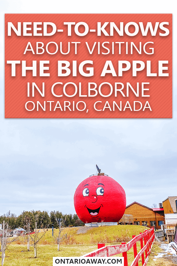 photo of large red apple outside with text overlay about The Big Apple in Colborne Ontario