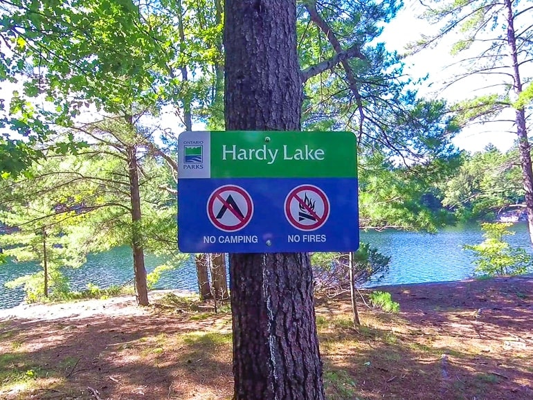blue and green sign on tree in forest with lake behind