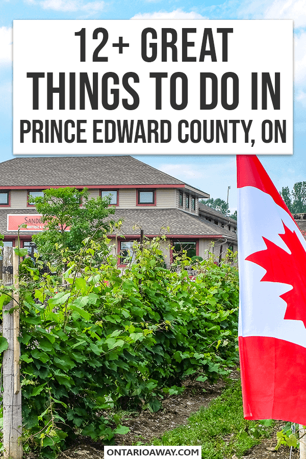 Photo of Canadian flag with grape wines and building in background with text overlay things to do in prince edward county