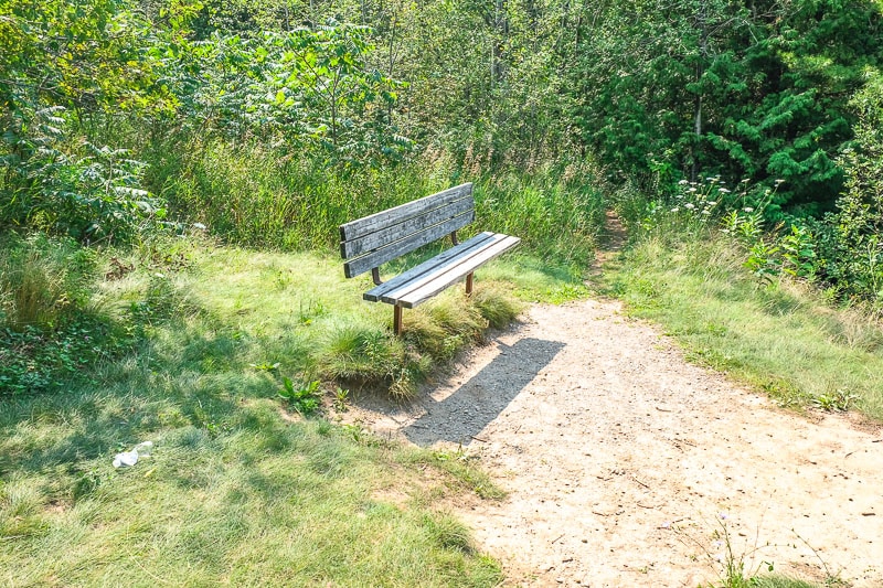 lone wooden bench on side of trail with garbage beside in grass.