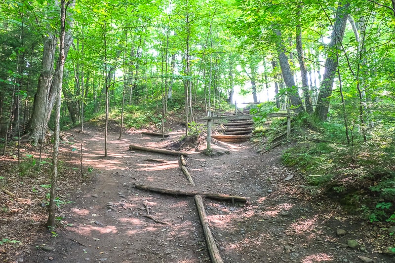 wooden steps made from logs in thick green tree cover on downhill slope