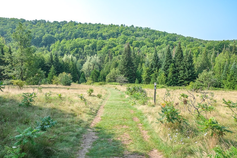 large grassy trail with marker and green hill ahead in distance.
