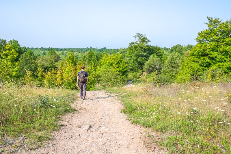 man walking with backpack on trail into green forest ahead.