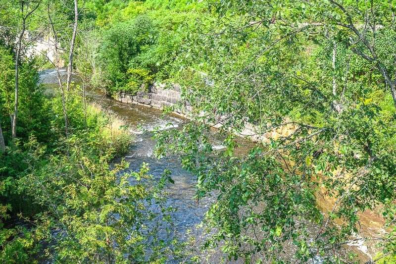 river seen through green branches running between concrete walls