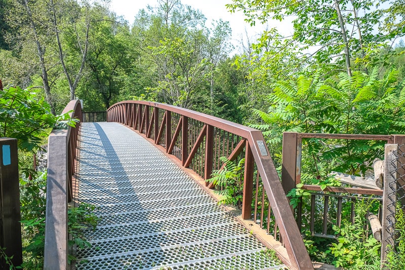 metallic bridge with green forest around