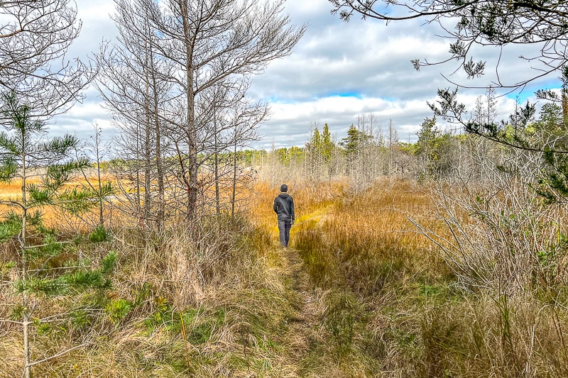 man walking on trail through grassland and forest
