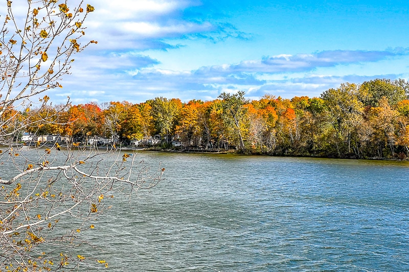 trees with fall colours on other side of lake with cottages close by