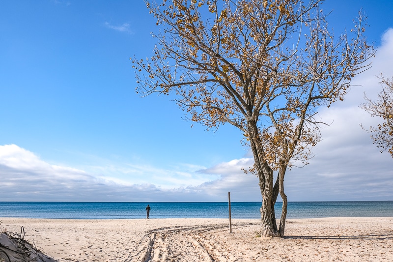 man standing on sandy beach near shoreline with tree beside