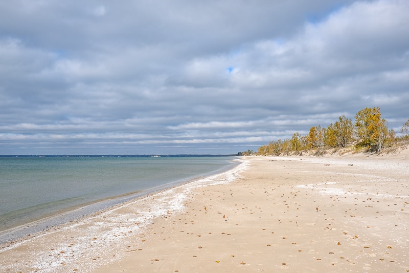 long sandy beach with small trees and lake waterfront beside