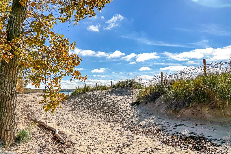 sandy pathway with dune grass beside ad blue sky above