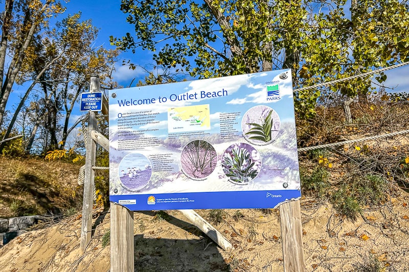 large informational sign with trees behind at outlet beach