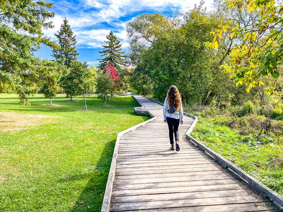 woman walking on wooden boardwalk over green grass wit trees around in park space.